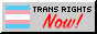 trans rights NOW