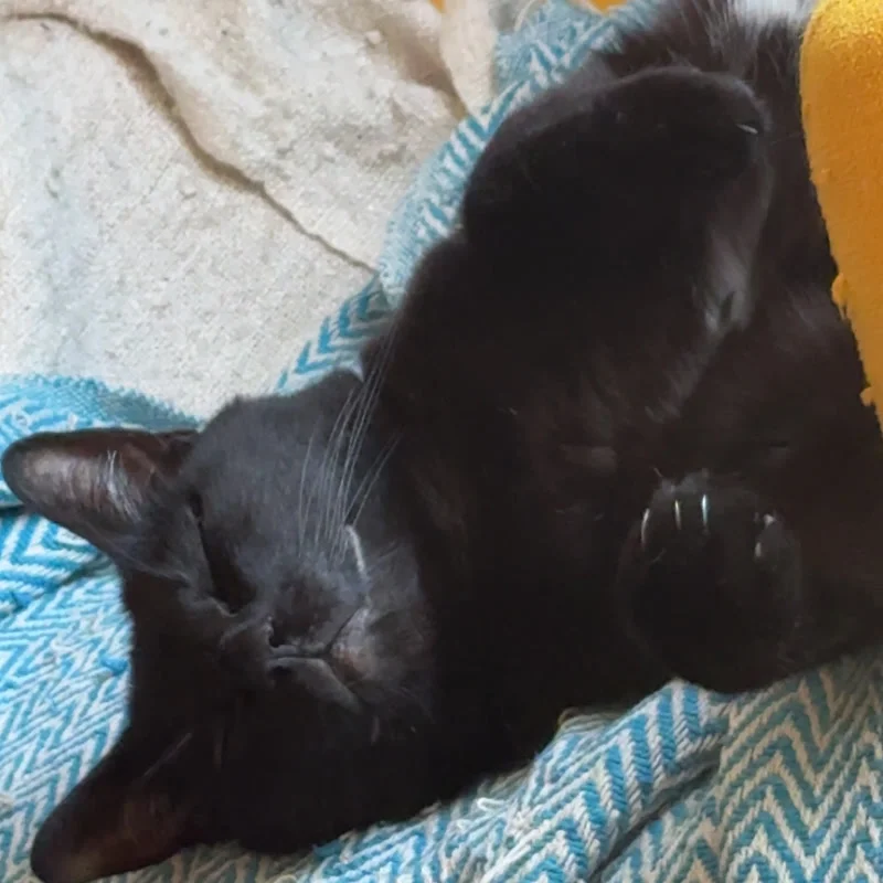 notchka