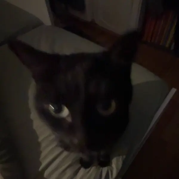notchka